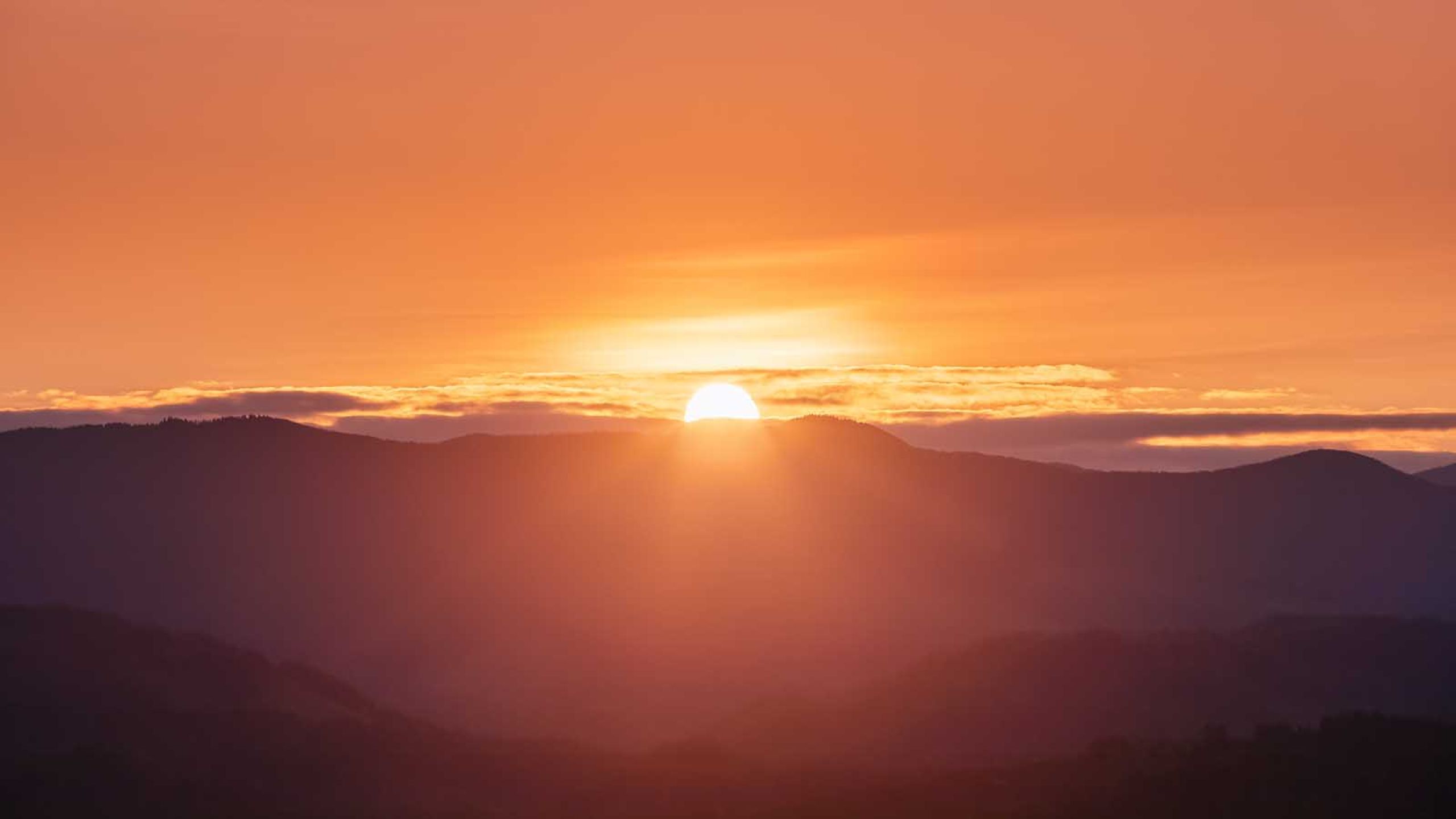 Beautiful sunrise. Sun rays enlighten the meadow with trees. Spring morning. Landscape with high mountains.